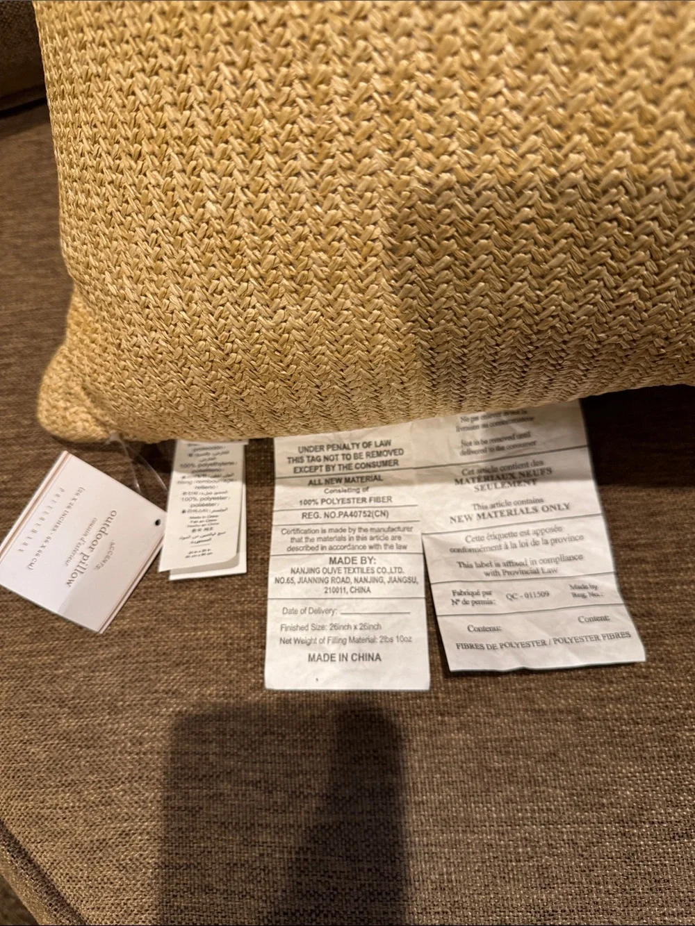 NWT POTTERY BARN Natural Fiber Pillows